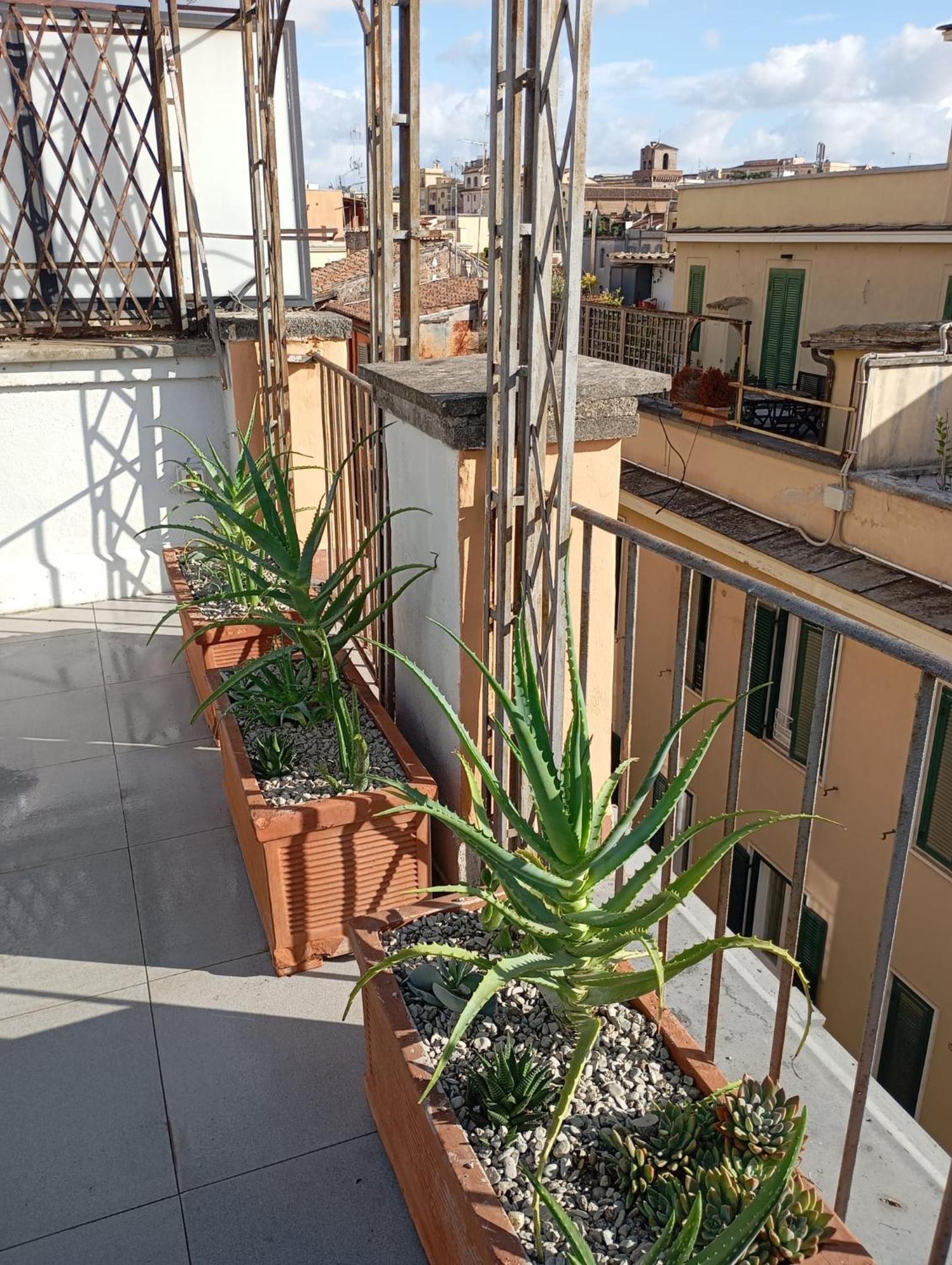 Colosseum Exclusive Duplex Roma Dış mekan fotoğraf